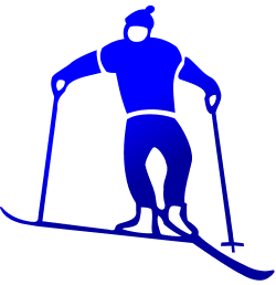 skier