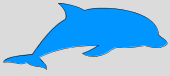 dolphin